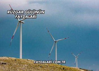 Rüzgar Gülünün Faydaları