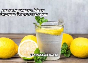 Sabah Aç Karna İçilen Limonlu Suyun Faydaları