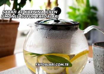 Sabah Aç Karnına İçilen Limonlu Suyun Faydaları