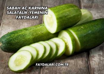 Sabah Aç Karnına Salatalık Yemenin Faydaları