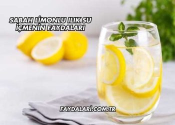 Sabah Limonlu Ilık Su İçmenin Faydaları