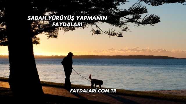 Sabah Yürüyüş Yapmanın Faydaları