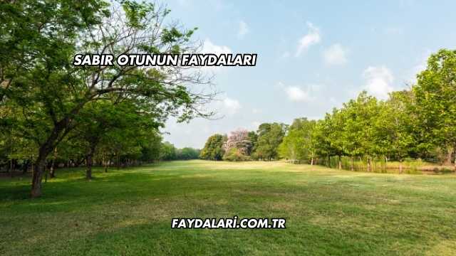 Sabır Otunun Faydaları