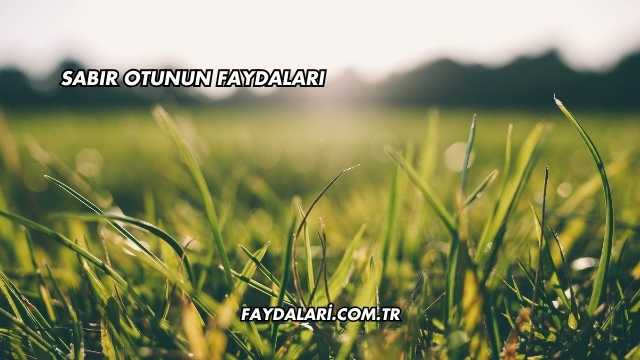 Sabır Otunun Faydaları
