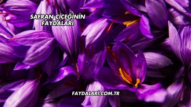 Safran Çiçeğinin Faydaları
