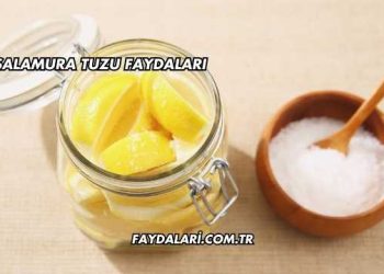 Salamura Tuzu Faydaları