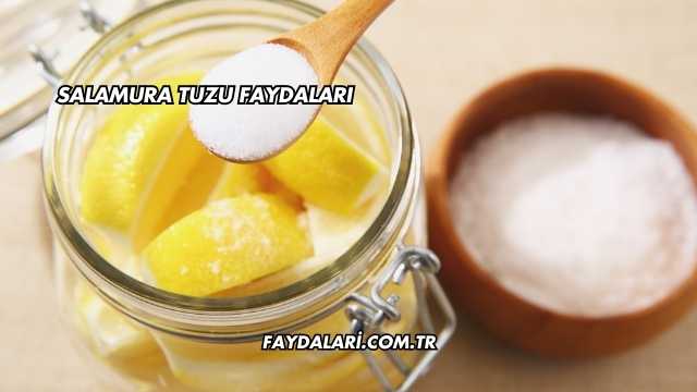Salamura Tuzu Faydaları