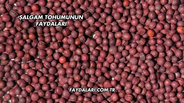 Şalgam Tohumunun Faydaları
