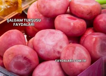 Şalgam Turşusu Faydaları