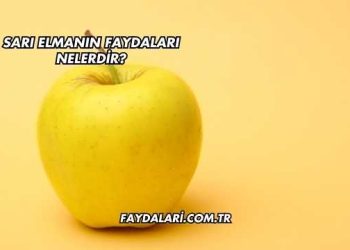 Sarı Elmanın Faydaları Nelerdir?