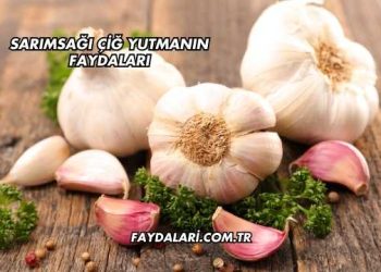 Sarımsağı Çiğ Yutmanın Faydaları