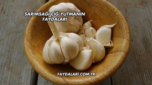 Sarımsağı Çiğ Yutmanın Faydaları