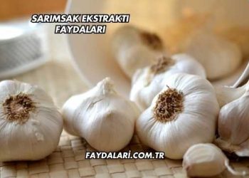 Sarımsak Ekstraktı Faydaları