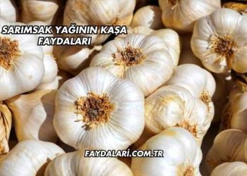 Sarımsak Yağının Kaşa Faydaları