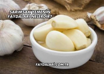 Sarımsak Yemenin Faydaları Nelerdir?