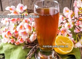 Şehzade Şerbeti Faydaları