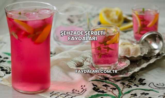 Şehzade Şerbeti Faydaları