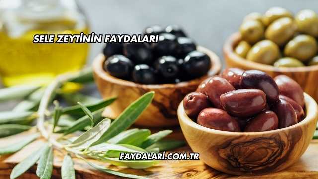 Sele Zeytinin Faydaları