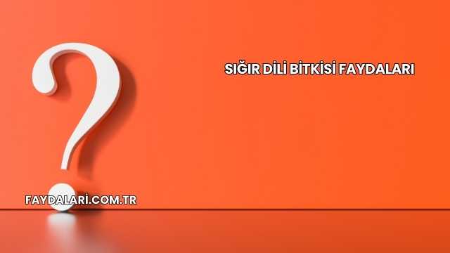 Sığır Dili Bitkisi Faydaları