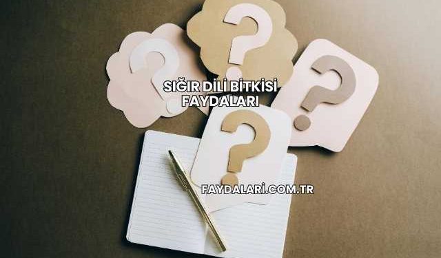 Sığır Dili Bitkisi Faydaları