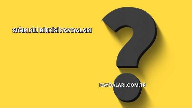 Sığır Dili Bitkisi Faydaları