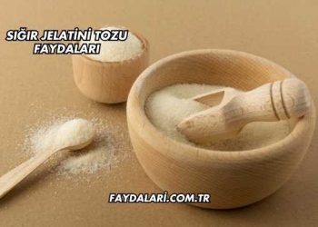 Sığır Jelatini Tozu Faydaları