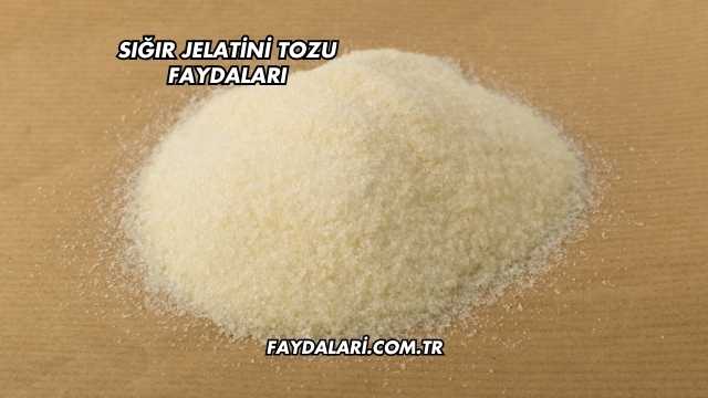 Sığır Jelatini Tozu Faydaları