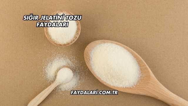 Sığır Jelatini Tozu Faydaları