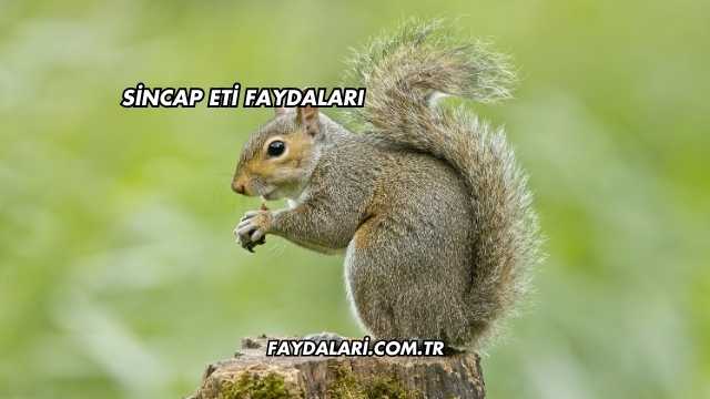 Sincap Eti Faydaları