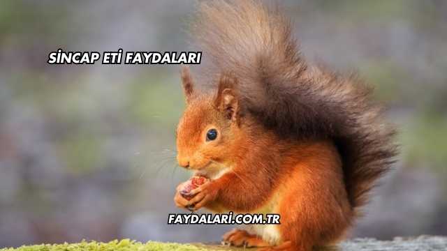 Sincap Eti Faydaları