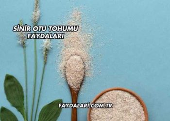 Sinir Otu Tohumu Faydaları