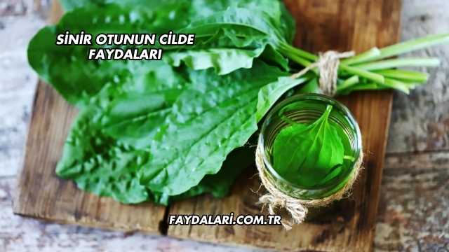 Sinir Otunun Cilde Faydaları