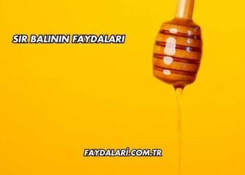 Sır Balının Faydaları