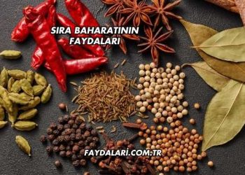 Sıra Baharatının Faydaları