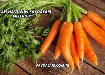 Siyah Havucun Faydaları Nelerdir?