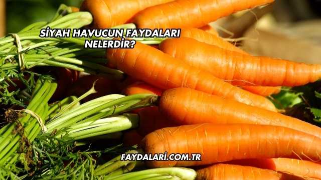 Siyah Havucun Faydaları Nelerdir?