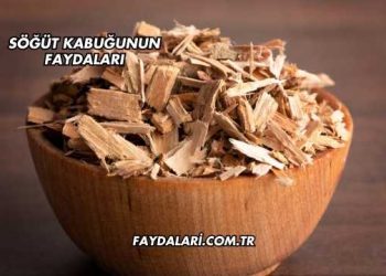 Söğüt Kabuğunun Faydaları