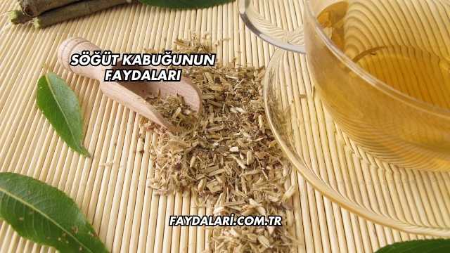 Söğüt Kabuğunun Faydaları