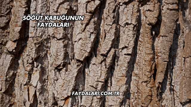 Söğüt Kabuğunun Faydaları