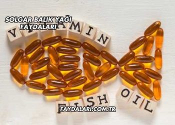 Solgar Balık Yağı Faydaları