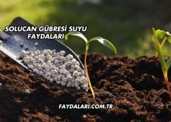 Solucan Gübresi Suyu Faydaları