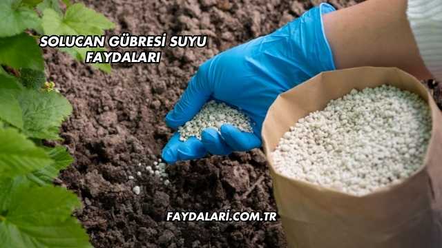 Solucan Gübresi Suyu Faydaları