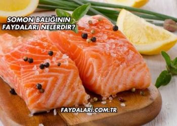 Somon Balığının Faydaları Nelerdir?