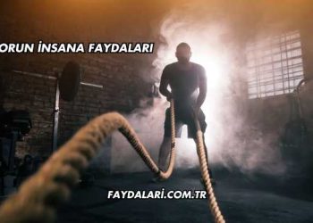 Sporun İnsana Faydaları