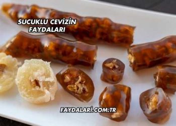 Sucuklu Cevizin Faydaları