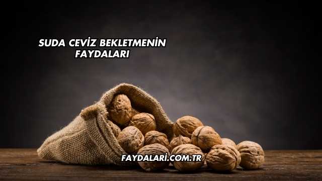Suda Ceviz Bekletmenin Faydaları