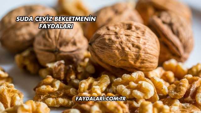 Suda Ceviz Bekletmenin Faydaları