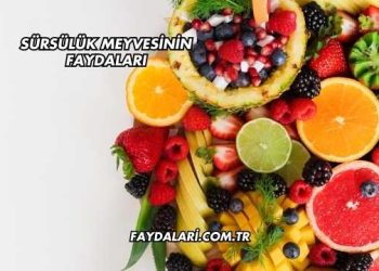 Sürsülük Meyvesinin Faydaları
