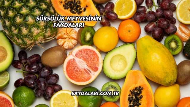 Sürsülük Meyvesinin Faydaları