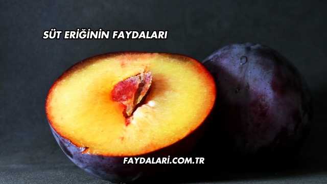 Süt Eriğinin Faydaları